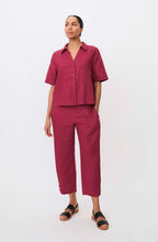 Beet Red Penna