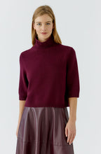 Bramble Berry High Neck Short Sleeve Jumper