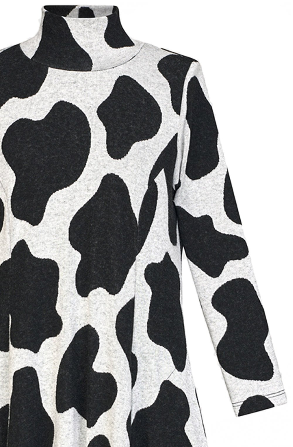 Urban Clouds Drea Turtle Neck Dress