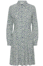 Gabria Blurred Leprechaun Flower Shirt Dress