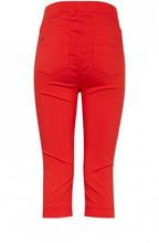 Spiced Red Cropped Jeggings
