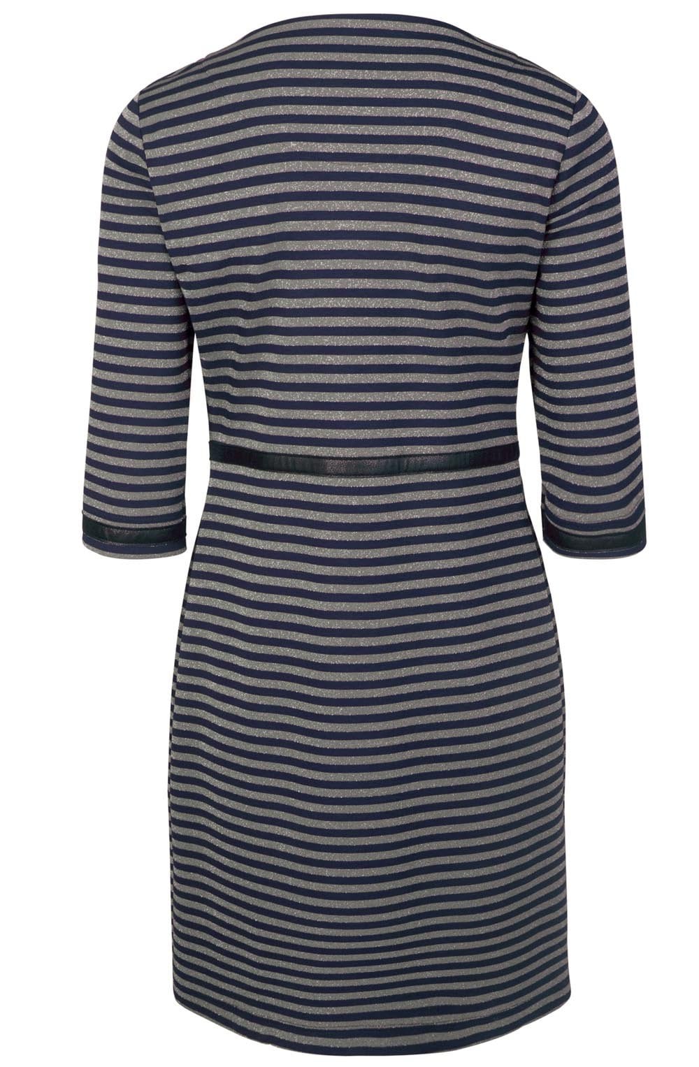 Metallic Stiped Dress
