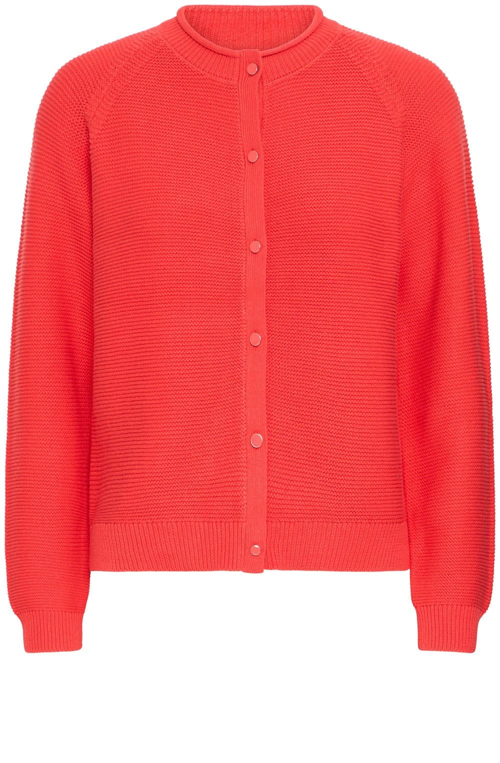 Poinsettia Knitted Button Up Cardigan