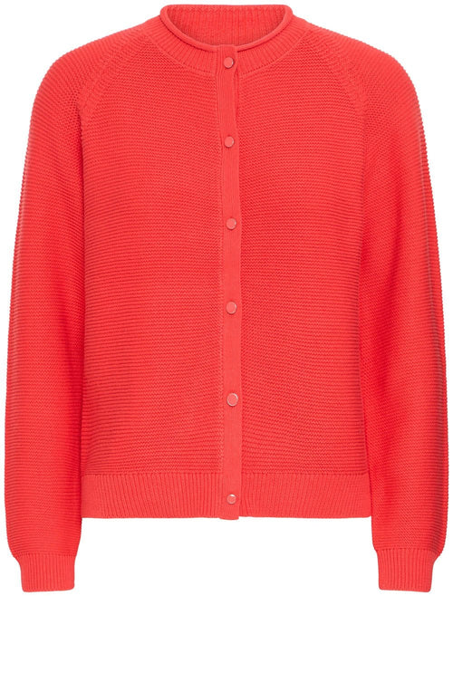 Poinsettia Knitted Button Up Cardigan