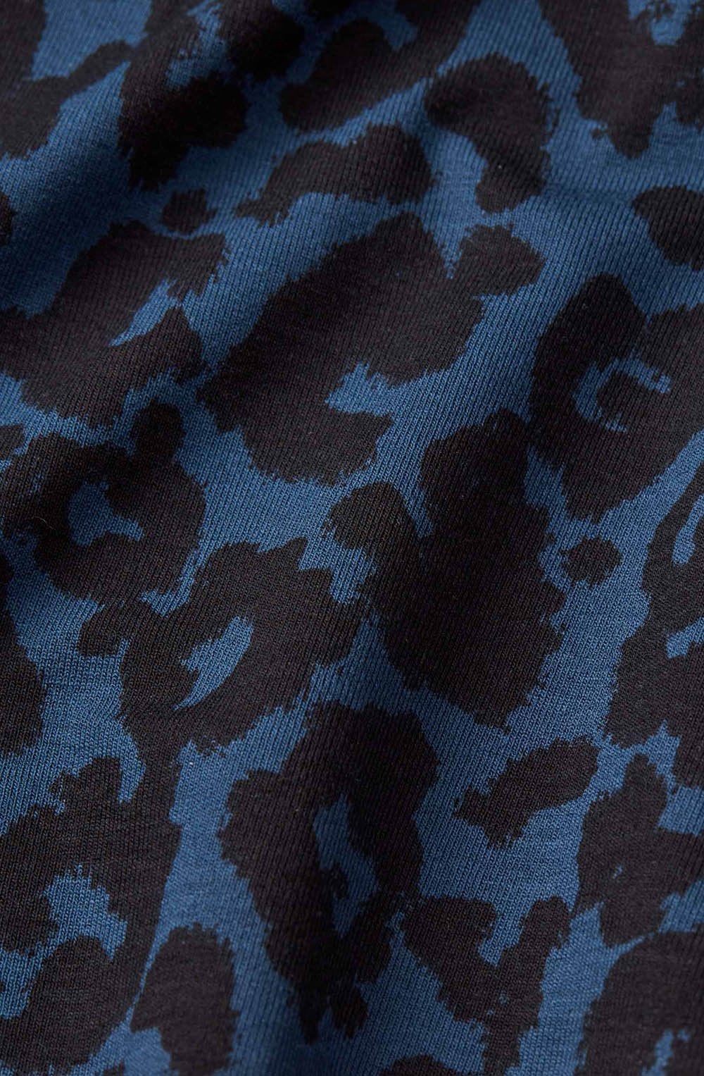 Moonlit Ocean Leopard Print Dariel Pleated Top