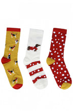 Bamboo Dog Sock Box