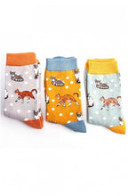 Socks in a Box Cat Design