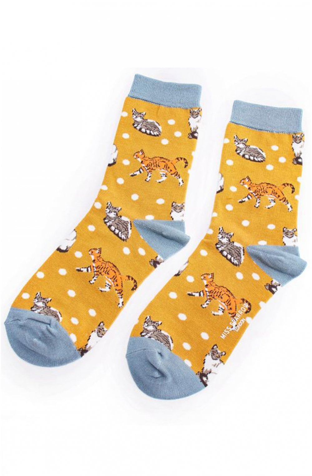 Socks in a Box Cat Design