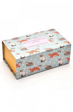 Socks in a Box Cat Design