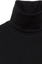 Black Casual Long Sleeve Turtleneck
