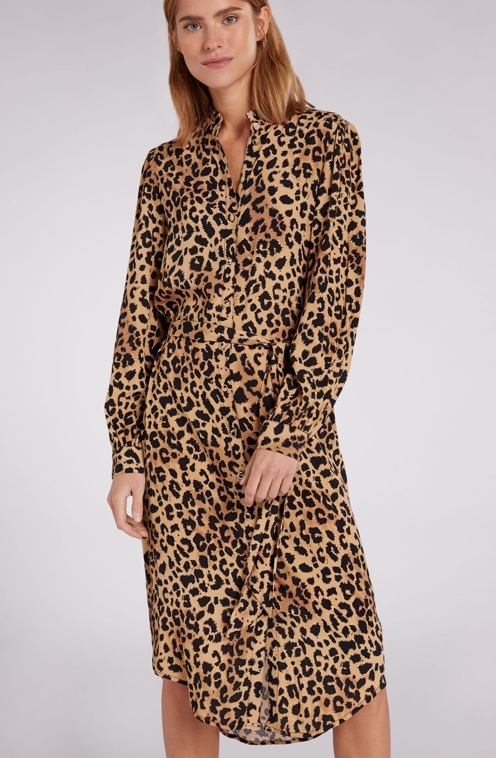 Animal Print Dress