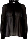 Black Sheer Pleated Blouse
