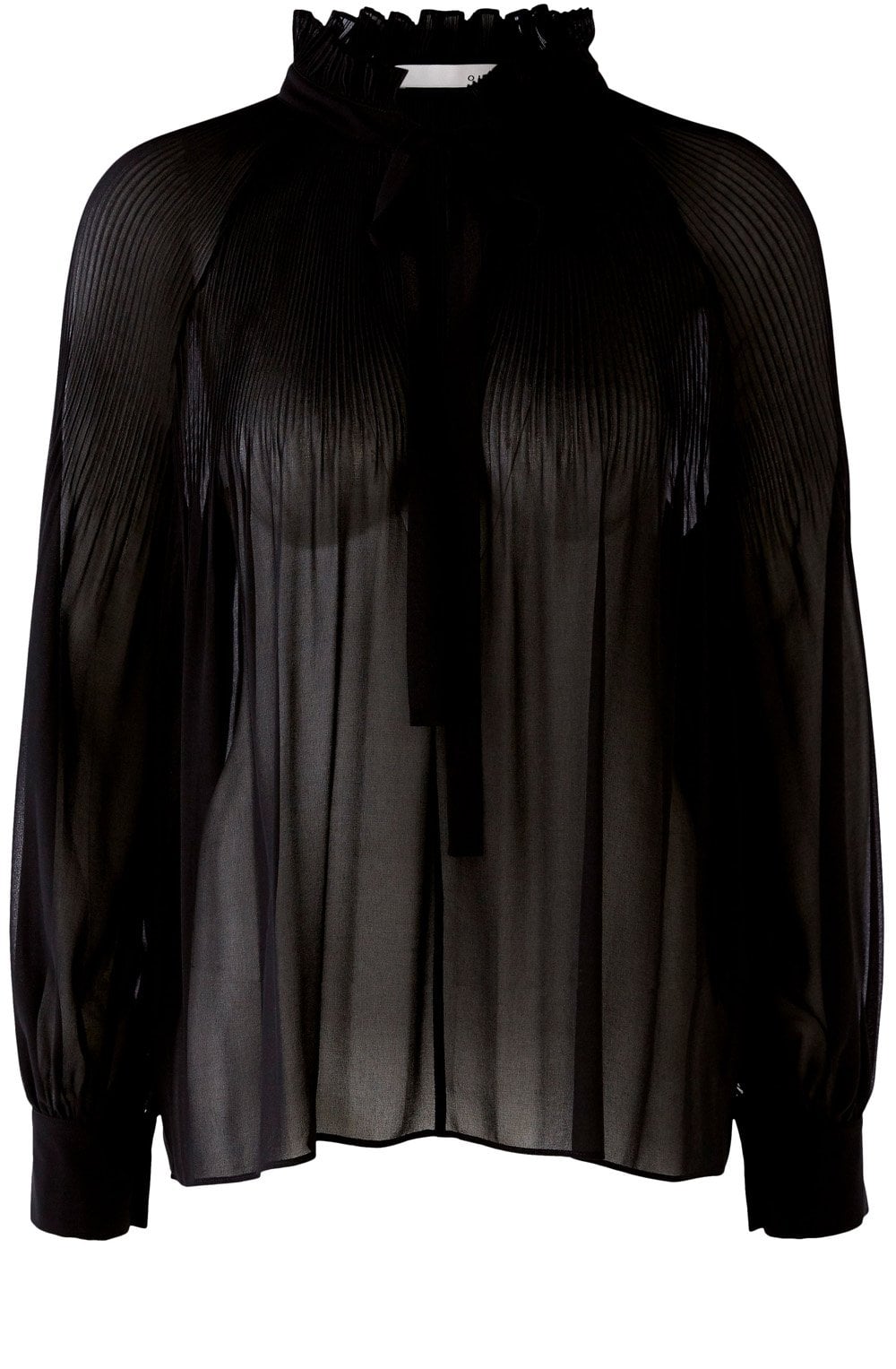 Black Sheer Pleated Blouse