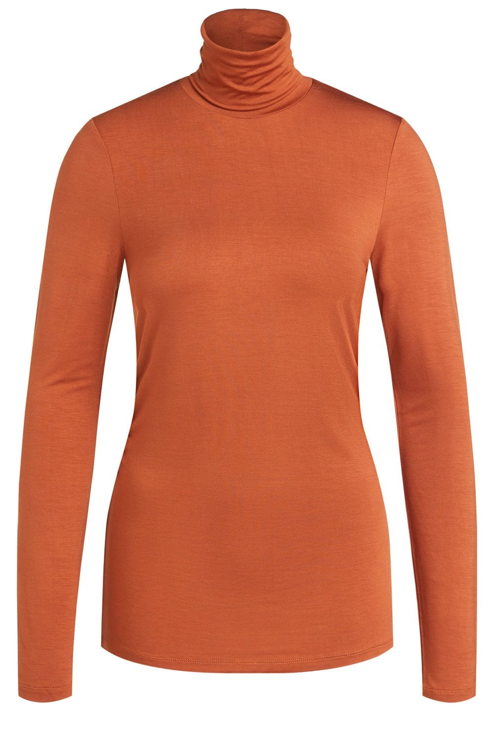 Cinnamon Polo Neck Top