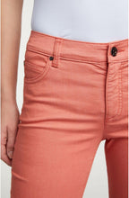 Crabapple Baxtor Jeggings