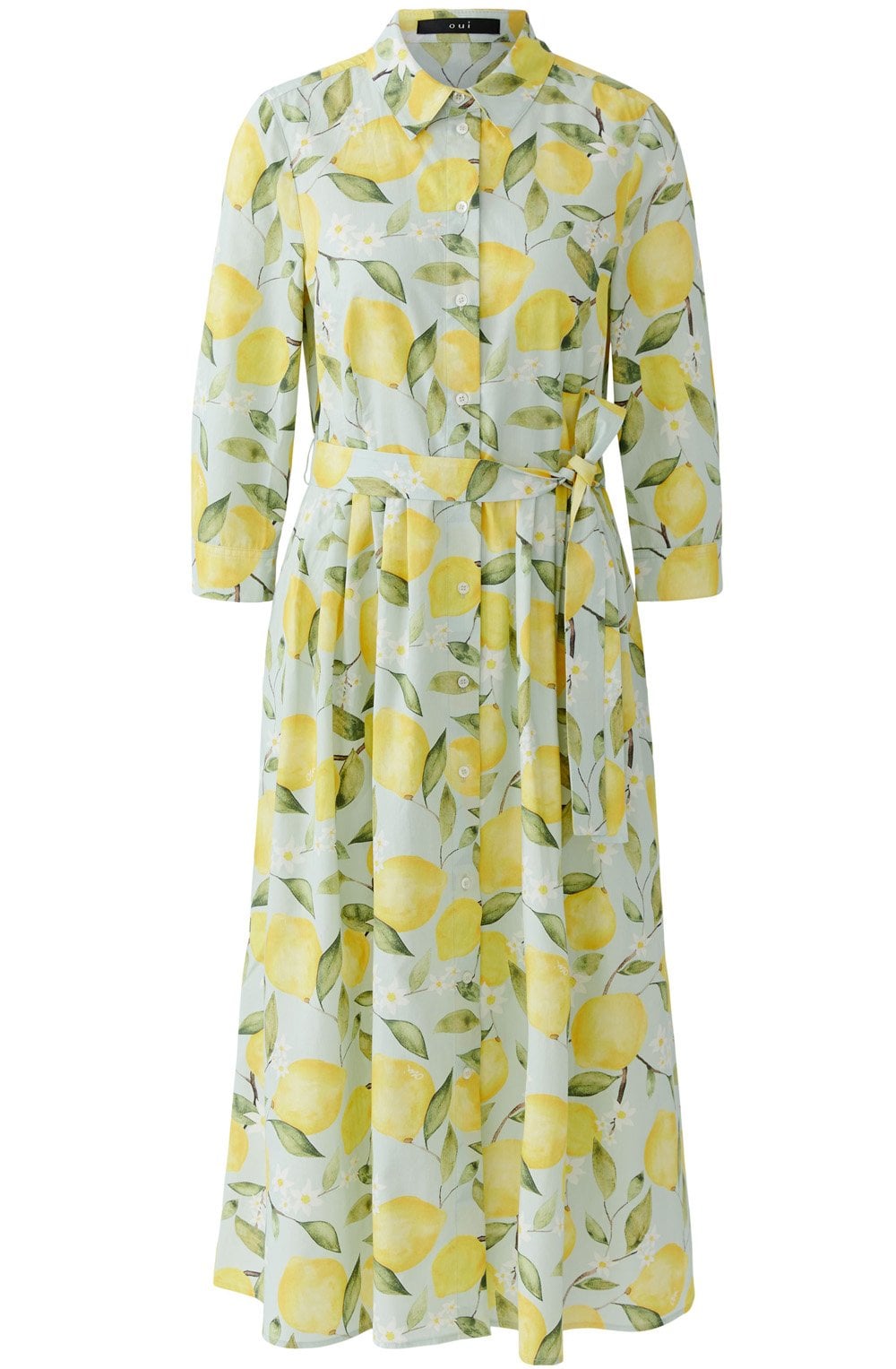 Light Green Lemon Print Belted Shirt Dress