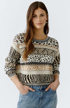 Striped Animal Print Jacquard Pullover