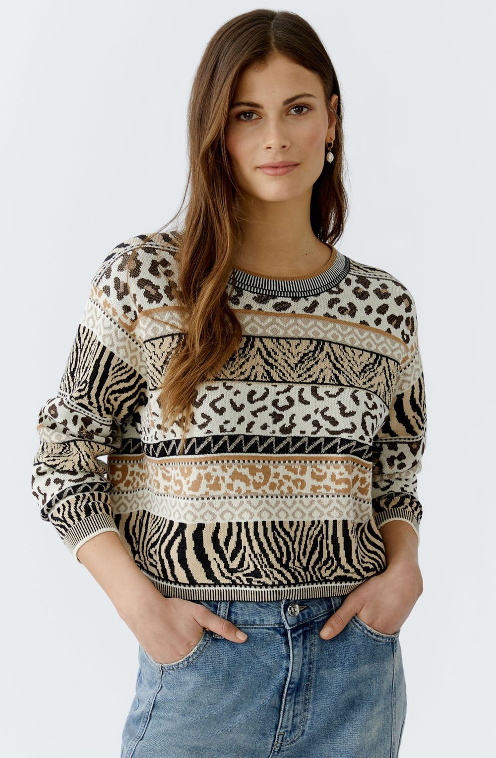 Striped Animal Print Jacquard Pullover