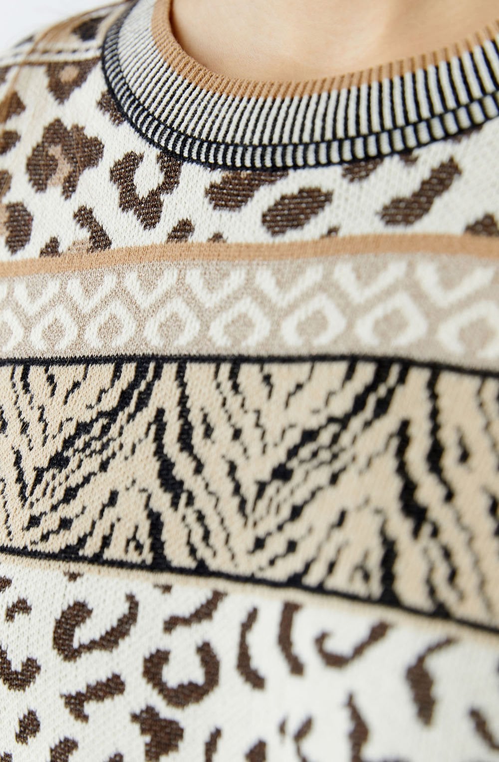 Striped Animal Print Jacquard Pullover