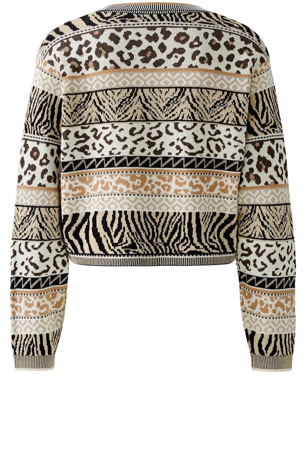 Striped Animal Print Jacquard Pullover