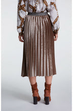 Velvet Pleated Skirt