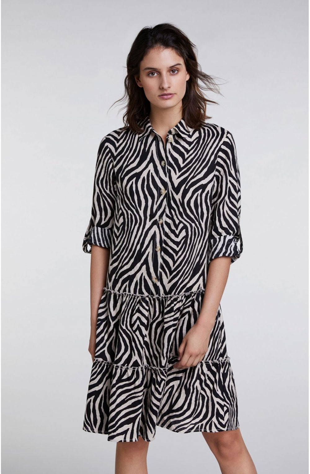 Zebra Print Swing Dress