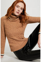 Roll Neck Cable Knit Jumper
