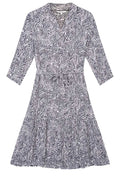 Anthra Zebra Print Dress