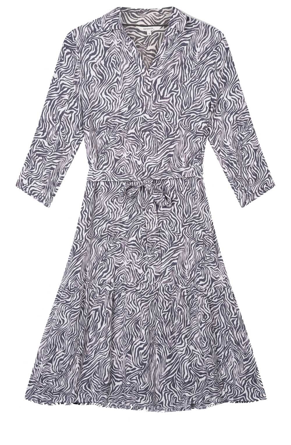 Anthra Zebra Print Dress