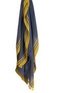 Blue & Yellow Scarf