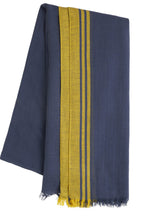 Blue & Yellow Scarf