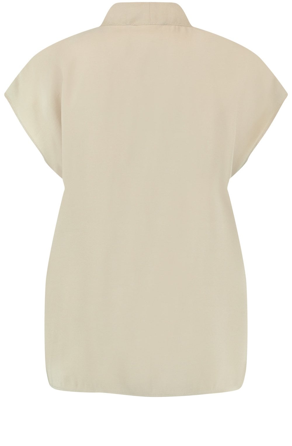 Roasted Hazel V Neck Silky Blouse