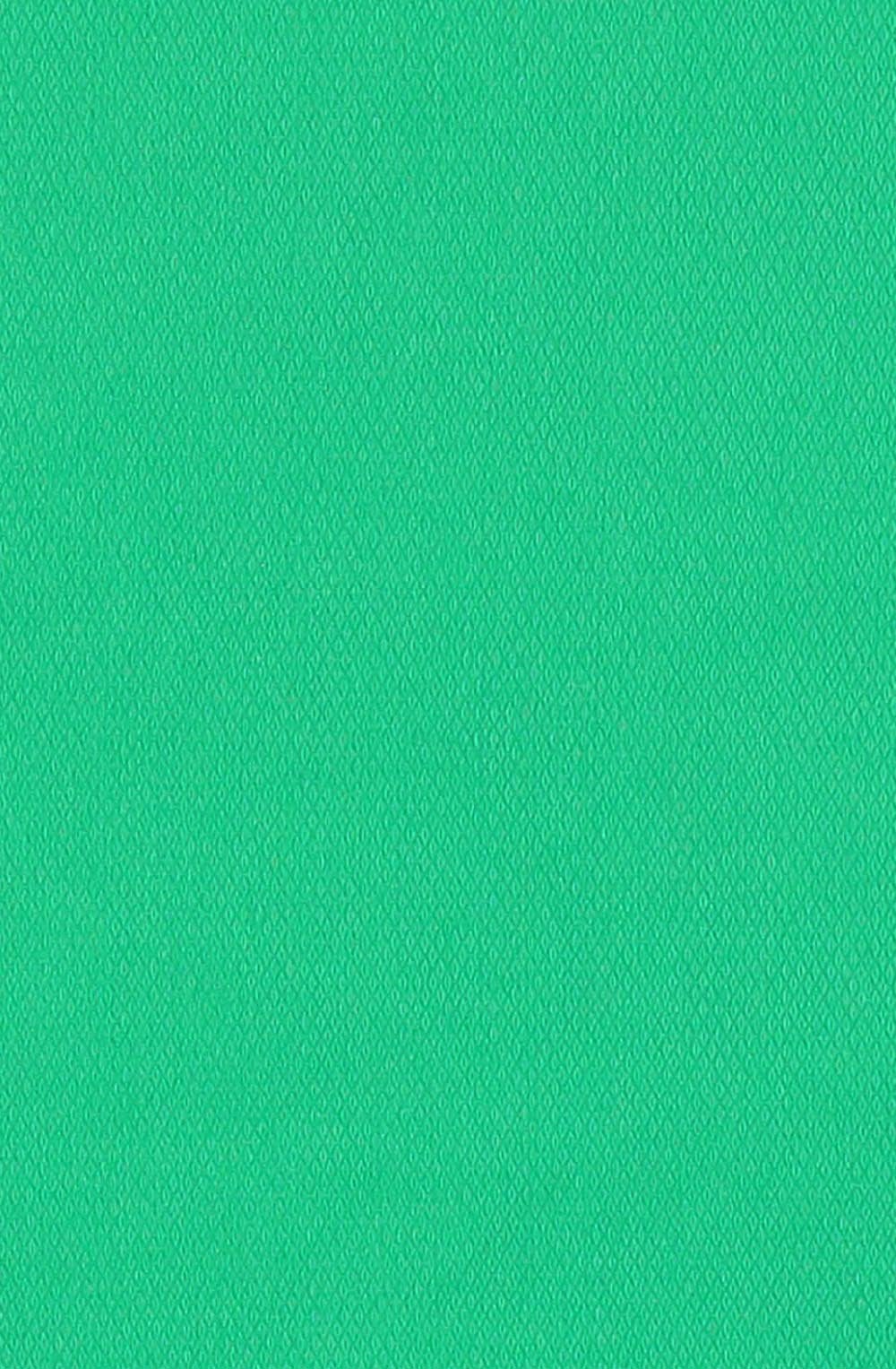 Vibrant Green Scarf