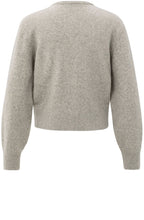 Brown Grey Cardigan with Detachable Collar